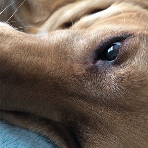 Meet your Posher, Jadyn